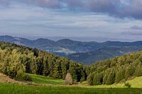 Prachtig wandelparadijs op de Rennsteig/Thüringerwoud
