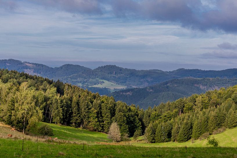 Prachtig wandelparadijs op de Rennsteig/Thüringerwoud van Oliver Hlavaty