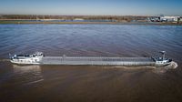 Motorvrachtschip Amerens
