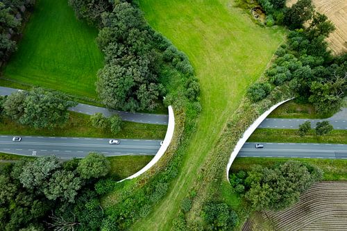 Ecoduct gezien vanuit de lucht