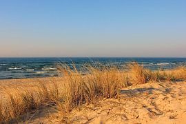 Abendsonne im April von Ostsee Bilder