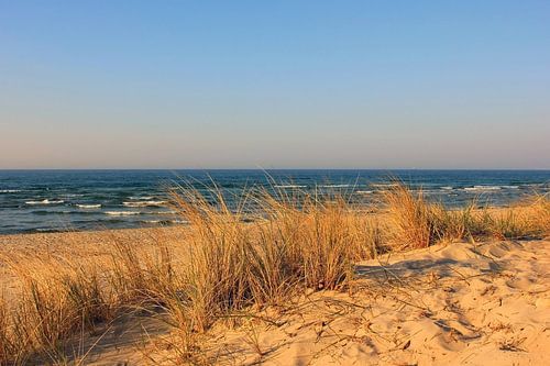 Evening sun in April