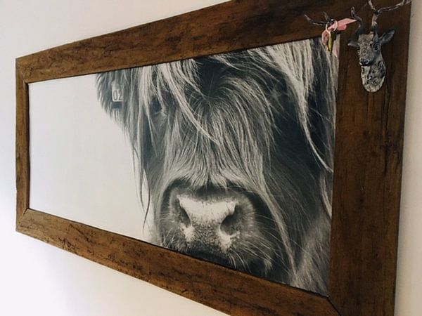 Customer photo: Portrait Scottish Highlander black and white by Sandra van Kampen, as wallpaper