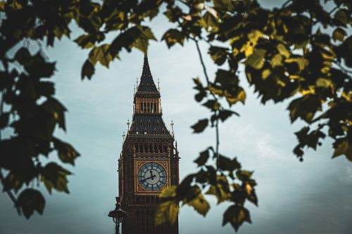 Big Ben framed by golden autumn leaves