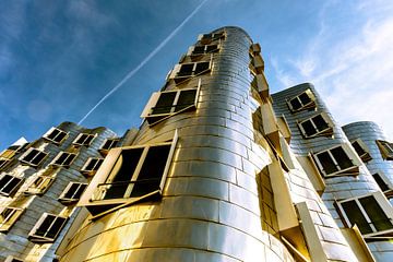 Gehry gebouwen van Dieter Walther