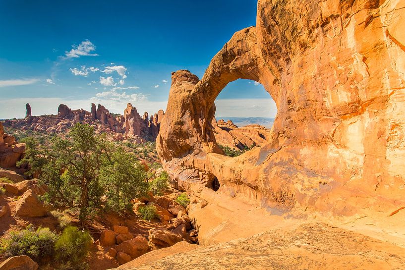 Double OArch in Arches N.P. van Antwan Janssen