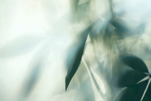 Just a glimpse (Bladeren in vage weergave)