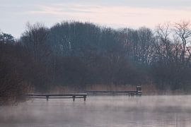 Scaffolding in the Mist by Volt