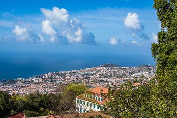 View to the city Funchal on the island Madeira, Portugal