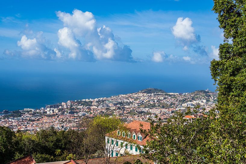 View to the city Funchal on the island Madeira, Portugal by Rico Ködder