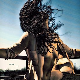 I love the Wind van Kees de Knegt