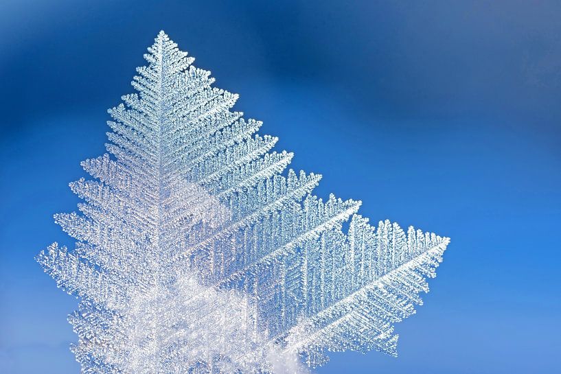 ice crystal macro against soft blue background.  by SusaZoom