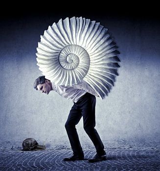 Das Gewicht des Lebens