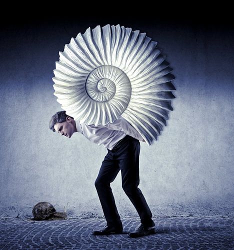 Das Gewicht des Lebens