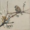 Oiseau sur une branche fleurie dans un style de peinture tranquille sur But First Framing