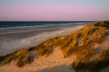 Dunes et Ameland de la mer du Nord dans la lumière dorée