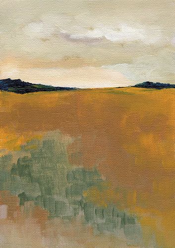 Paysage canarien