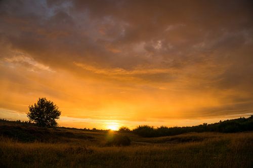 Kleurenpracht voor de nacht