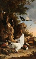 Die kontemplative Elster', Melchior d'Hondecoeter