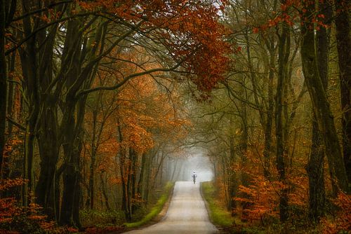 Sur le dessus et le dos