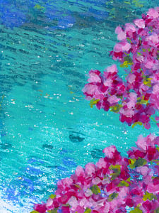 Bougainvillea am Meer