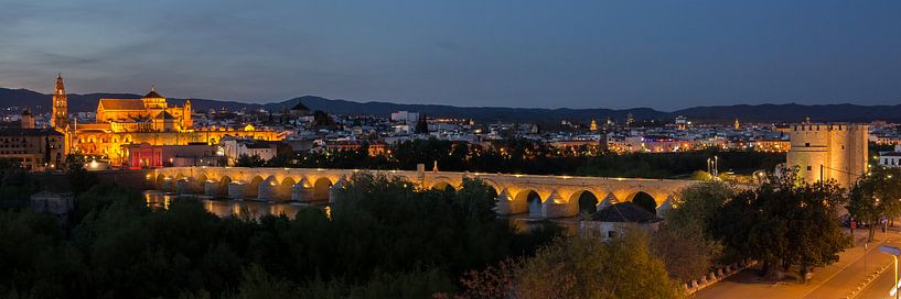 Panorama  (3:1) van Cordoba van René Weijers