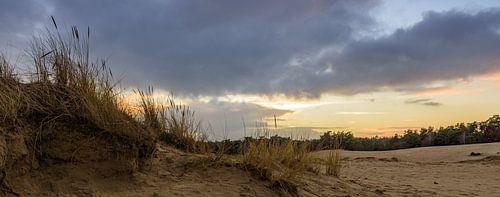Kootwijkerzand
