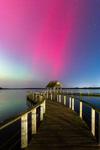 Magische Polarlichter: Leuchtendes Pink über dem Hemmelsdorfer See