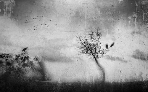 Un souvenir qui s'efface lentement