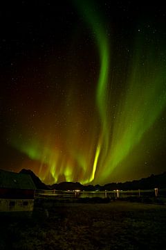 Poollicht - Noorwegen - Noorderlicht