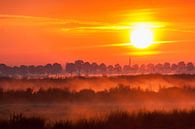 Mist over de velden bij zonsopkomst van Stephan Neven thumbnail