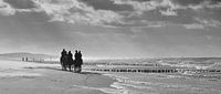 Paarden aan het strand van Domburg van Zeeland op Foto thumbnail