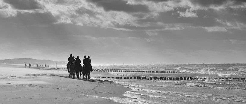 Paarden aan het strand van Domburg van Zeeland op Foto