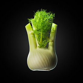 Fennel on black background by Everards Photography