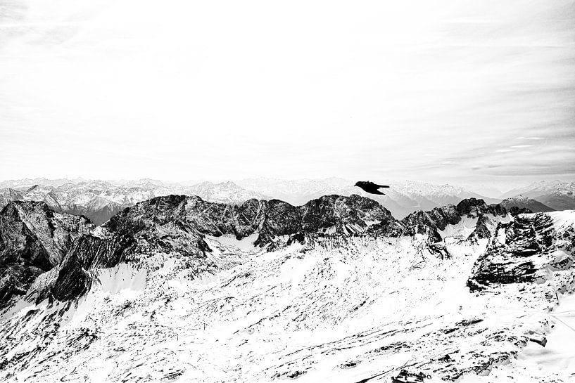 Vue sur la montagne avec un oiseau par Götz Gringmuth-Dallmer Photography