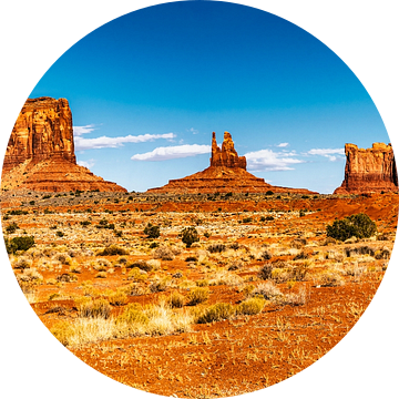 Panorama zandstenen monolieten Monument Valley arizona USA van Dieter Walther