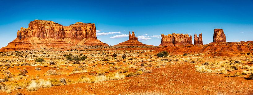 Panorama zandstenen monolieten Monument Valley arizona USA van Dieter Walther