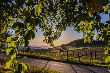 Le printemps dans le Sauerland sur Robin Feldmann