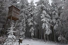 Uitkijkpunt in het bos van Sylvia Remenyi-Kuiper