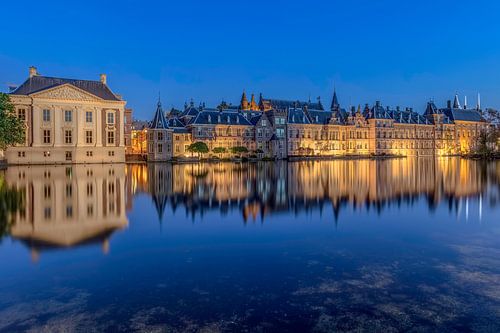 De Hofvijver in de avond