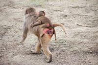 mama aap met baby