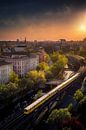 Berlin Tram 2020 by Iman Azizi thumbnail