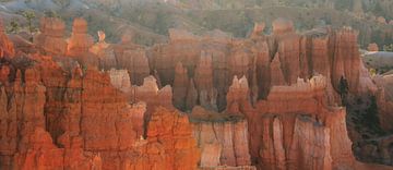 De sprookjesachtige rotsformaties van Bryce Canyon in ochtendlicht