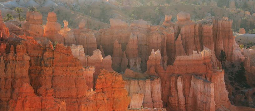 De sprookjesachtige rotsformaties van Bryce Canyon in ochtendlicht von Jonathan Vandevoorde