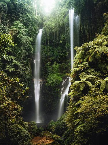 Silky Serenity – The Power of Nature