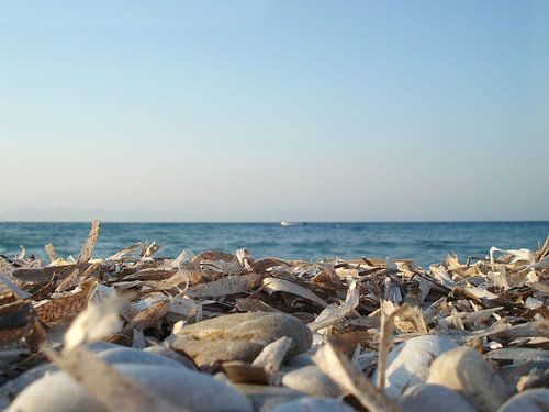 Rêver par la mer