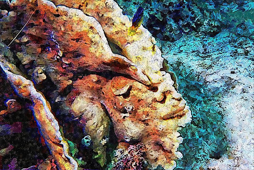 Coral Reef Architecture by Dorothy Berry-Lound