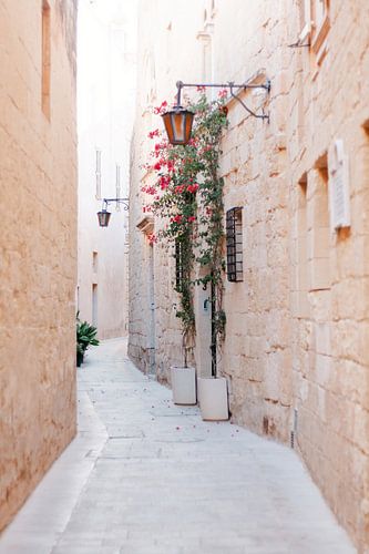 Romantische Gasse in Malta von deplaatvankaat