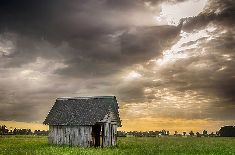 shed in the country by Sylvain  Poel