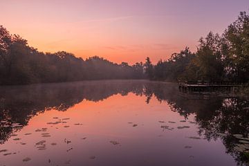 Teich im Nebel Slochteren von Marga Vroom